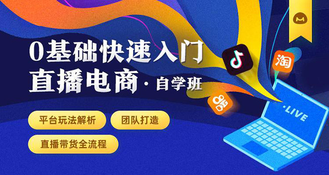 0基础快速入门直播电商课程：直播平台玩法解析-团队打造-带货全流程等环节-零点项目大全