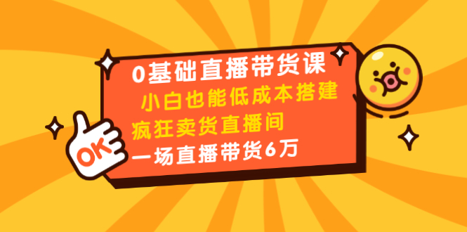 0基础直播带货课：小白也能低成本搭建疯狂卖货直播间：1场直播带货6万-零点项目大全