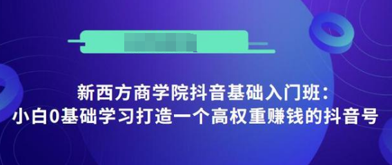 抖音基础入门班：小白0基础学习打造一个高权重赚钱的抖音号-零点项目大全