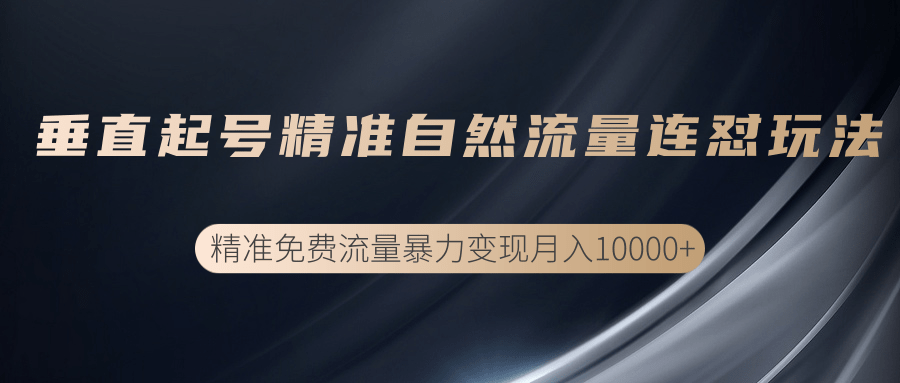 垂直起号精准自然流量连爆玩法，精准引流暴力变现月入10000+-零点项目大全