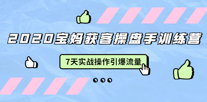 2020宝妈获客操盘手训练营：7天实战操作引爆 母婴、都市、购物宝妈流量-零点项目大全