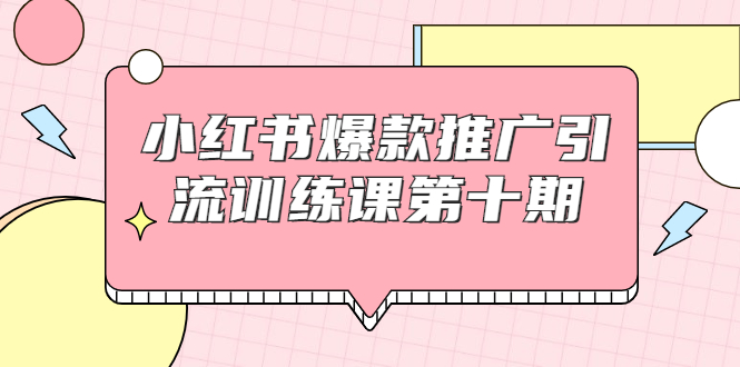 小红书爆款推广引流训练课第十期，手把手带你玩转小红书，轻松月入过万-零点项目大全