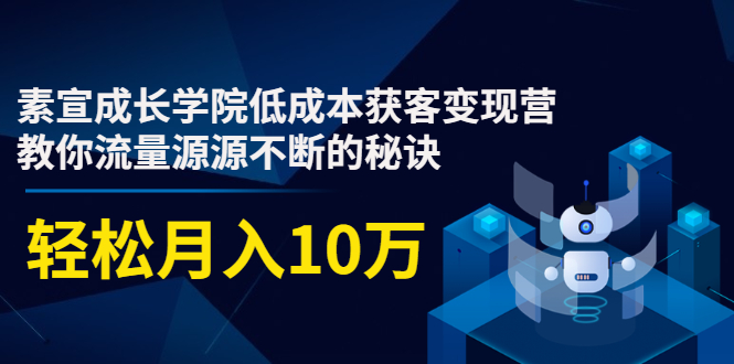 素宣成长学院低成本获客变现营，教你流量源源不断的秘诀，轻松月入10万-零点项目大全