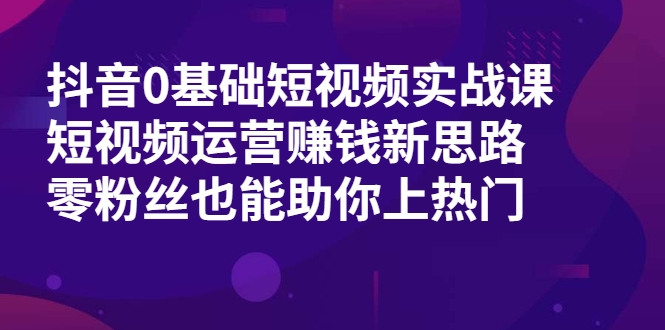 抖音0基础短视频实战课，短视频运营赚钱新思路，零粉丝也能助你上热门-零点项目大全