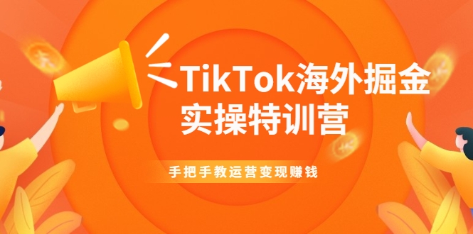 TikTok海外掘金实操特训营：手把手教运营变现赚钱-零点项目大全