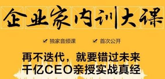 企业家内训大课，未来企业必学经验，价值1299元-零点项目大全