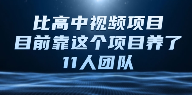 比高中视频项目，目前靠这个项目养了11人团队【视频课程】-零点项目大全