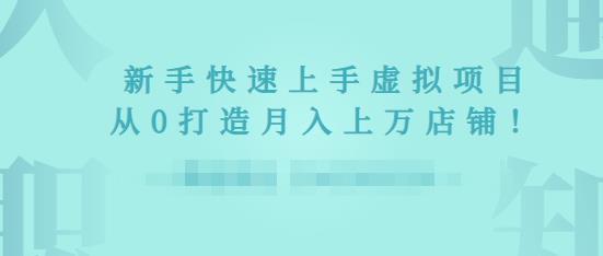 2022年虚拟项目实战指南，新手从0打造月入上万店铺-零点项目大全