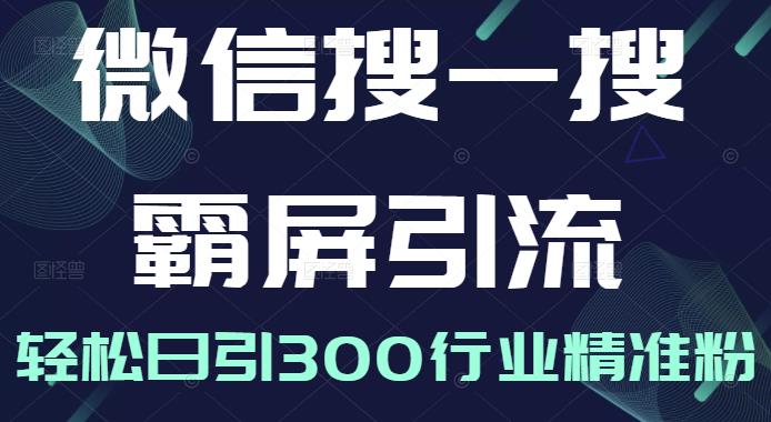 微信搜一搜霸屏引流课，打造被动精准引流系统，轻松日引300行业精准粉-零点项目大全