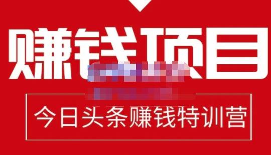 懒人领域·今日头条项目玩法，头条中视频项目，单号收益在50—500可批量-零点项目大全