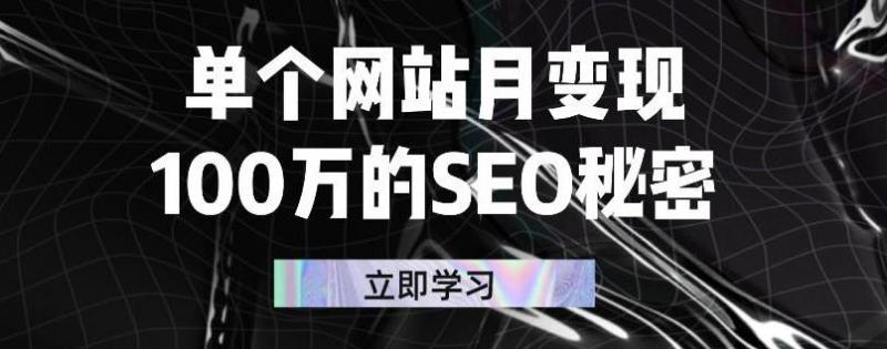 单个网站月变现100万的SEO秘密，百分百做出赚钱站点-零点项目大全