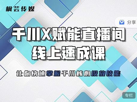 枫芸传媒-线上千川提升课，提升千川认知，提升千川投放效果-零点项目大全