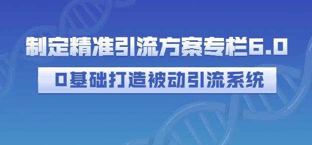 制定精准引流方案专栏6.0，0基础打造被动引流系统-零点项目大全