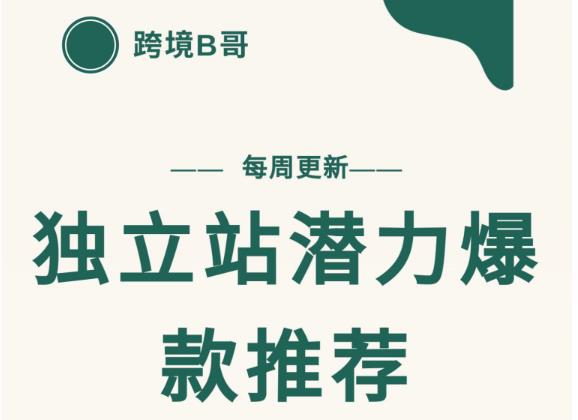 【跨境B哥】独立站潜力爆款选品推荐，测款出单率高达百分之80-零点项目大全