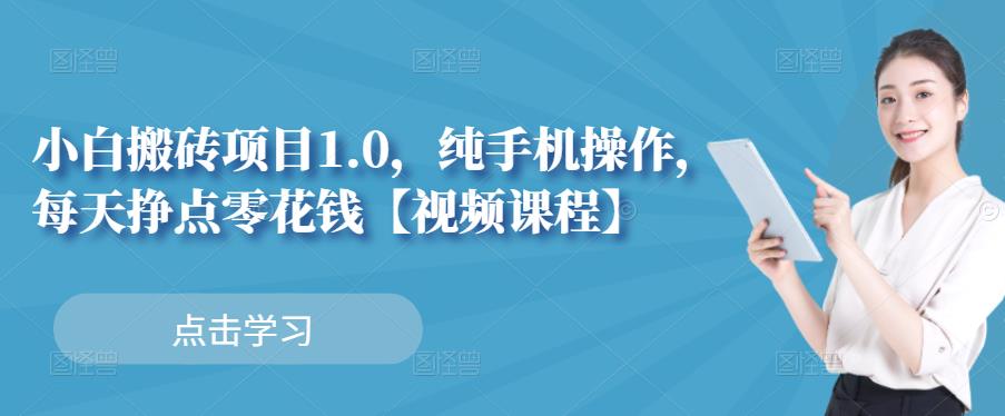 小白搬砖项目1.0，纯手机操作，每天兼职挣点零花钱-零点项目大全