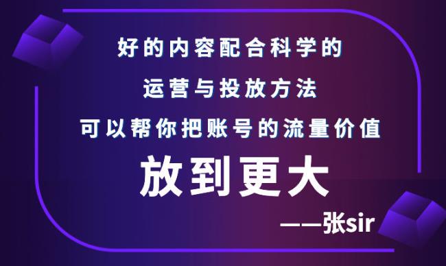 张sir账号流量增长课，告别海王流量，让你的流量更精准-零点项目大全