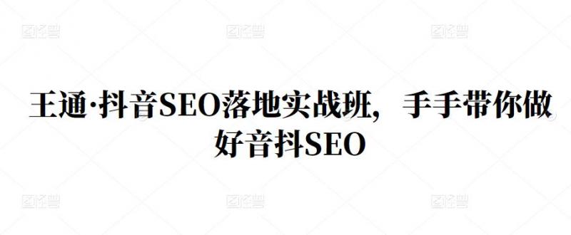 王通·抖音SEO落地实战班，手‬手带你做好音抖‬‬SEO-零点项目大全