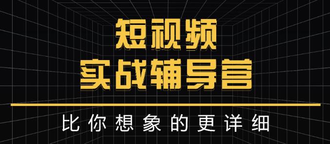 达人队长:短视频实战辅导营，比你想象的更详细-零点项目大全