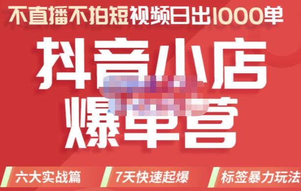 推易电商·2022年抖音小店爆单营，不直播、不拍短视频、日出1000单，暴力玩法-零点项目大全