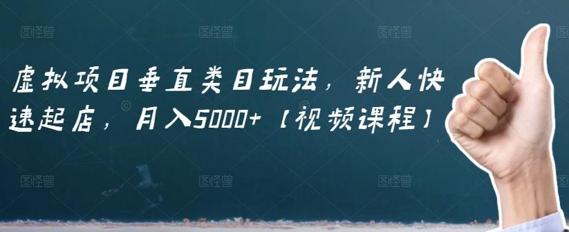 虚拟项目垂直类目玩法，新人快速起店，月入5000+【视频课程】-零点项目大全