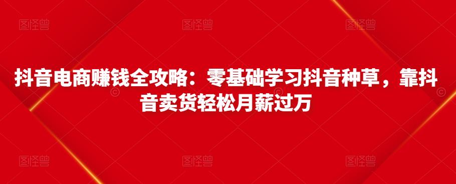 抖音电商赚钱全攻略：零基础学习抖音种草，靠抖音卖货轻松月薪过万-零点项目大全