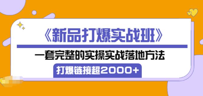 凌童《新品打爆实战班》,一套完整的实操实战落地方法，打爆链接超2000+（28节课)-零点项目大全