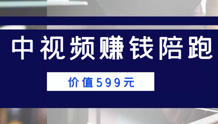 中视频赚钱陪跑，卖中视频账户赚钱收益陪跑项目（价值599元）-零点项目大全