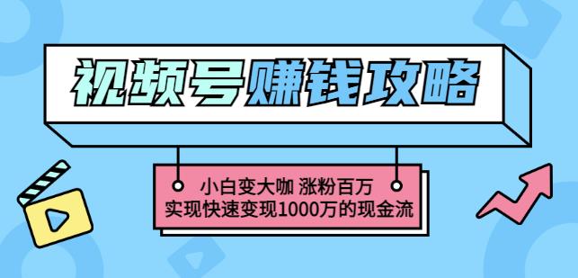 玩转微信视频号赚钱：小白变大咖涨粉百万实现快速变现1000万的现金流-零点项目大全