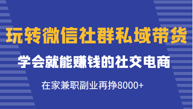 玩转微信社群私域带货，学会就能赚钱的社交电商，在家兼职副业再挣8000+-零点项目大全