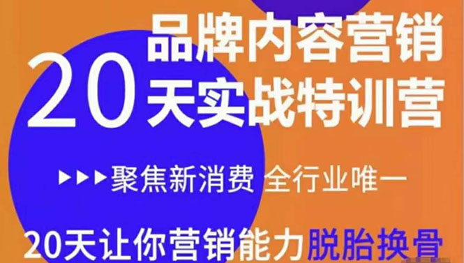 《内容营销实操特训营》20天让你营销能力脱胎换骨（价值3999）-零点项目大全