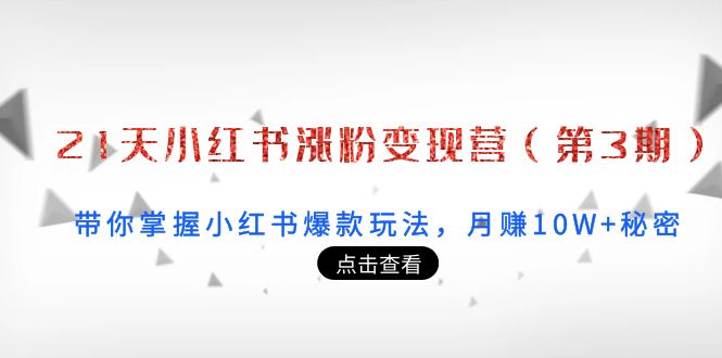 21天小红书涨粉变现营（第3期）：带你掌握小红书爆款玩法，月赚10W+秘密-零点项目大全