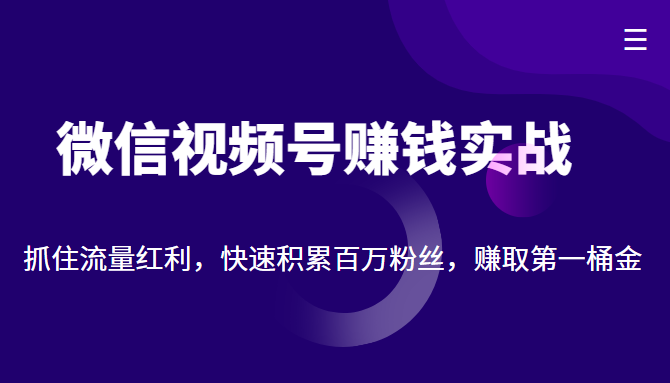 微信视频号赚钱实战：抓住流量红利，快速积累百万粉丝，赚取你的第一桶金-零点项目大全