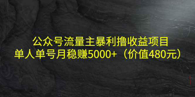 公众号流量主暴利撸收益项目，单人单号月稳赚5000+（价值480元）-零点项目大全