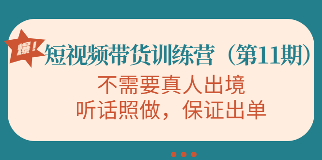 视频带货训练营，不需要真人出境，听话照做，保证出单（第11期）-零点项目大全