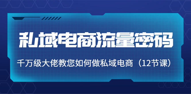 私域电商流量密码：千万级大佬教您如何做私域电商（12节课）-零点项目大全