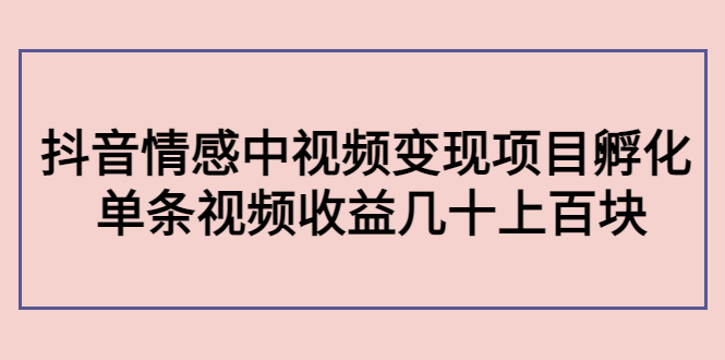 副业孵化营第5期：抖音情感中视频变现项目孵化 单条视频收益几十上百-零点项目大全