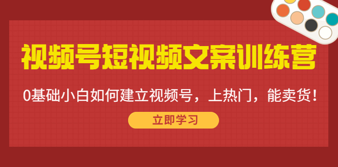 视频号短视频文案训练营：0基础小白如何建立视频号，上热门，能卖货！-零点项目大全