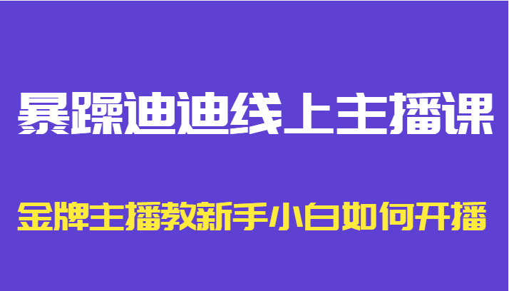 暴躁迪迪线上主播课，金牌主播教新手小白如何开播-零点项目大全