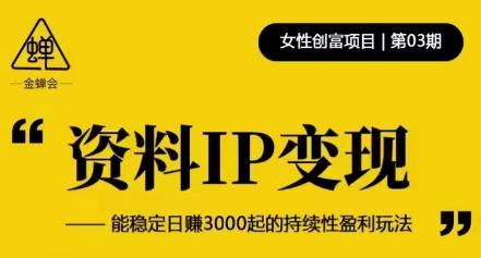 资料IP变现，能稳定日赚3000起的持续性盈利玩法-零点项目大全