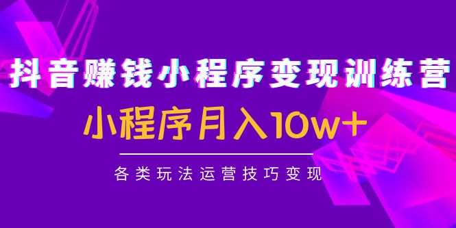 抖音赚钱小程序变现训练营：小程序月入10w+各类玩法运营技巧变现-零点项目大全