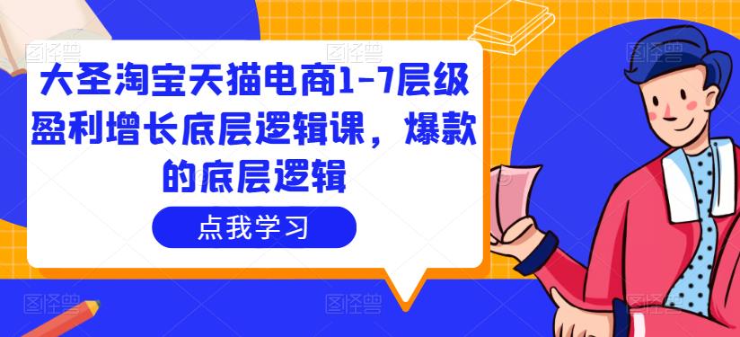 大圣淘宝天猫电商1-7层级盈利增长底层逻辑课，爆款的底层逻辑-零点项目大全