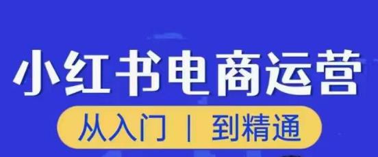 顽石小红书电商高阶运营课程，从入门到精通，玩法流程持续更新-零点项目大全