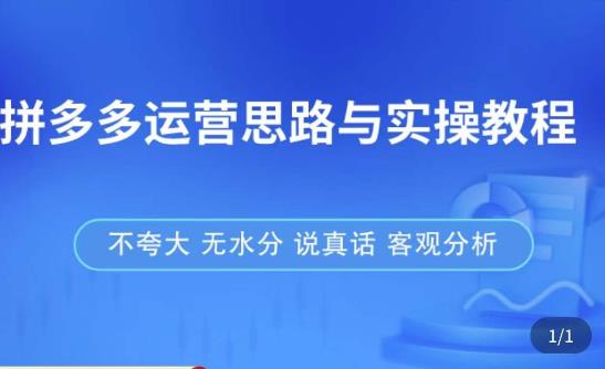 拼多多店铺运营思路与实操教程，快速学会拼多多开店和运营，少踩坑，多盈利-零点项目大全