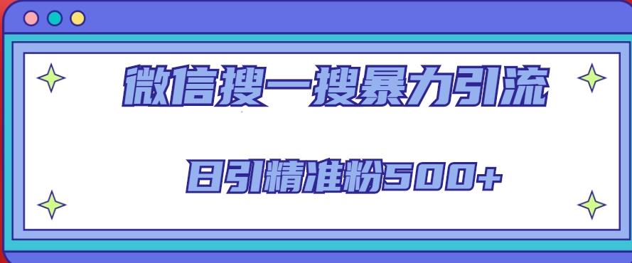 微信搜一搜引流全系列课程，日引精准粉500+（8节课）-零点项目大全