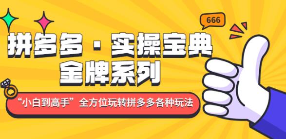 拼多多·实操宝典：金牌系列“小白到高手”带你全方位玩转拼多多各种玩法-零点项目大全