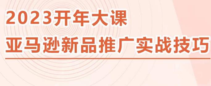 2023亚马逊新品推广实战技巧，线下百万美金课程的精简版，简单粗暴可复制，实操性强的推广手段-零点项目大全