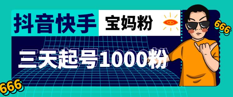 抖音快手三天起号涨粉1000宝妈粉丝的核心方法【详细玩法教程】-零点项目大全