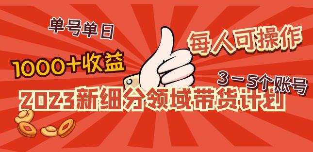 2023新细分领域带货计划：单号单日1000+收益不难，每人可操作3-5个账号-零点项目大全