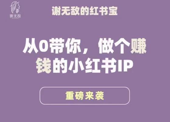 谢无敌·小红书运营大宝典，从0带你做个赚钱的小红书IP-零点项目大全