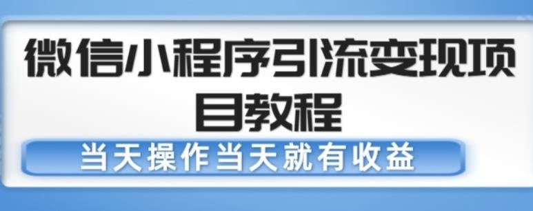 微信小程序引流变现项目教程，当天操作当天就有收益，变现不再是难事-零点项目大全